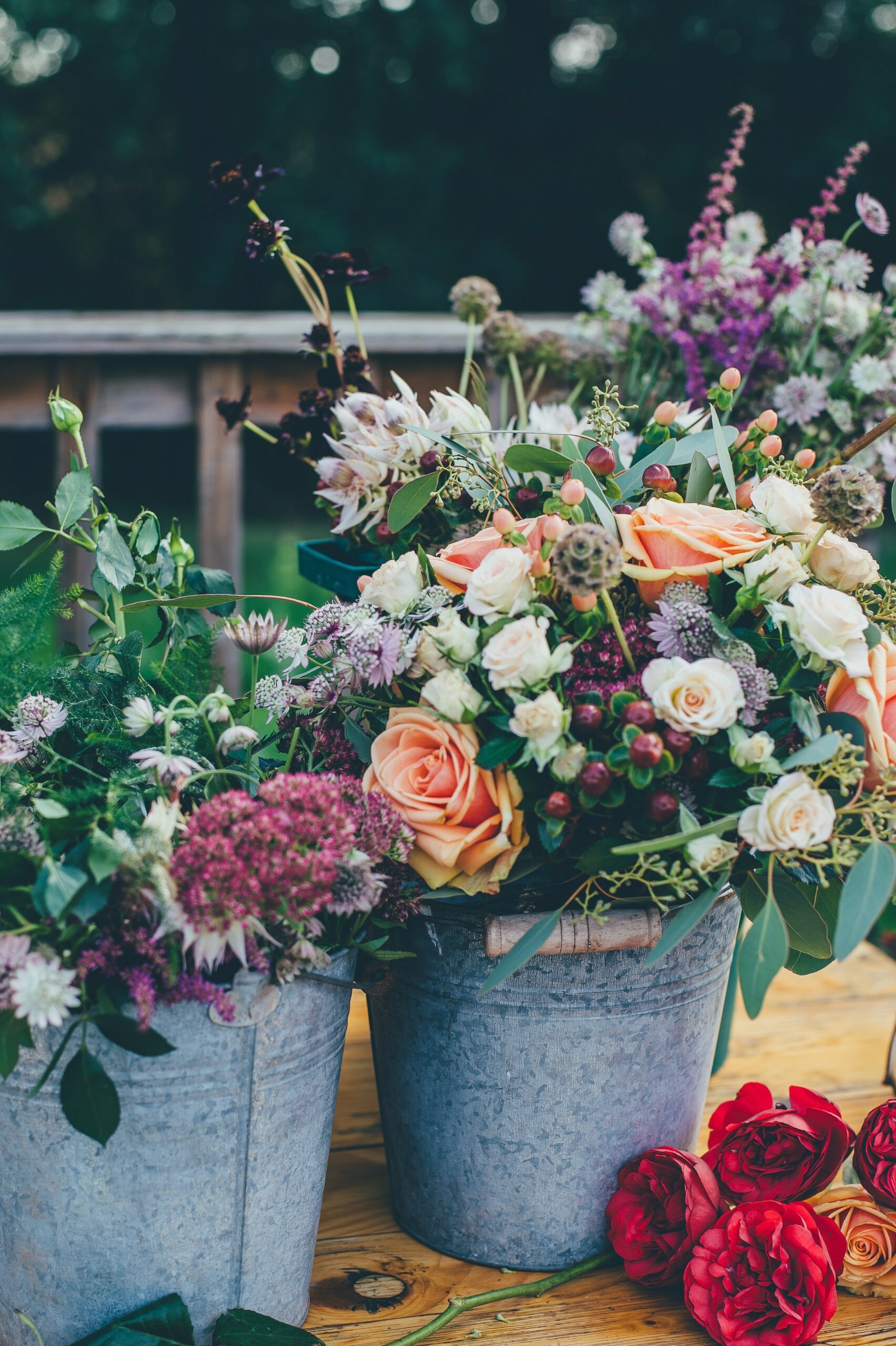 Fleurs de saison